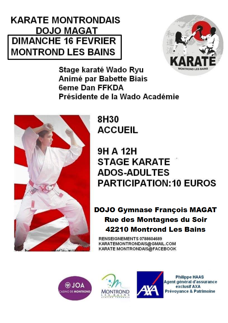 Affiche stage karate babeth 16 02 2020